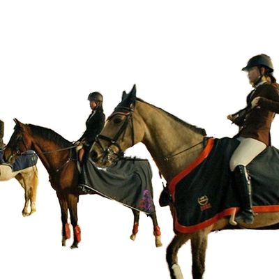 ইনডোর অশ্বারোহণ অ্যারিনার জন্য হালকা ইস্পাত কাঠামো বিল্ডিং