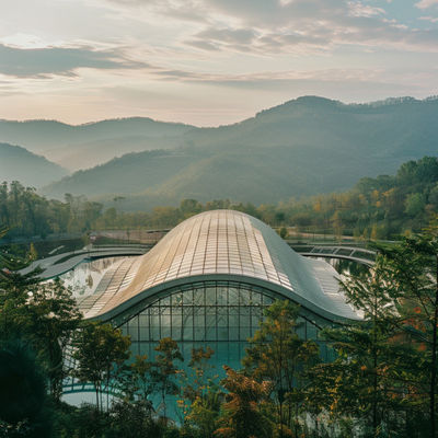 কেন্দ্রীয় পার্ক এবং আনুষ্ঠানিক স্থাপনাগুলির জন্য একটি মার্জিত নকশা সহ স্থানিক কাঠামো দীর্ঘস্থায়ী এবং বহুমুখী ইস্পাত বিল্ডিং