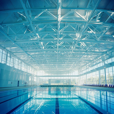 পুলের ছাদের জন্য স্টিলের স্পেসাল স্ট্রাকচার