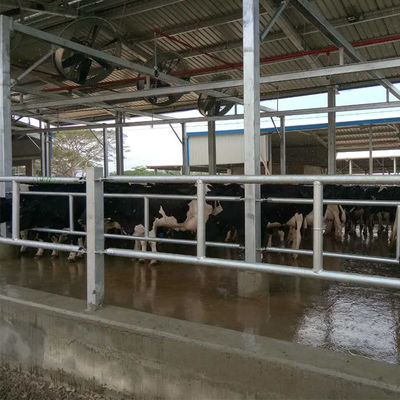 পেশাদার প্রি-কাস্ট স্টিল স্ট্রাকচার স্পেস ফ্রেম চিকেন ফার্ম বিল্ডিং