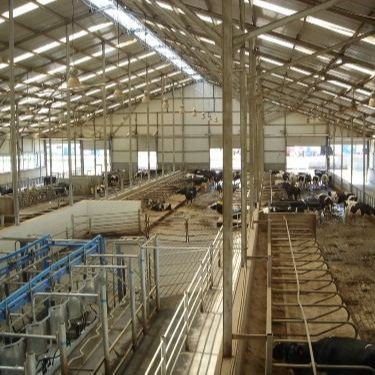 দ্রুত স্থাপনের সাথে কাস্টম স্টিল স্ট্রাকচার পোল্ট্রি হাউস