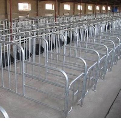 দ্রুত স্থাপনের সাথে কাস্টম স্টিল স্ট্রাকচার পোল্ট্রি হাউস